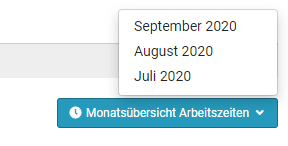 Monatsübericht Arbeitszeiten